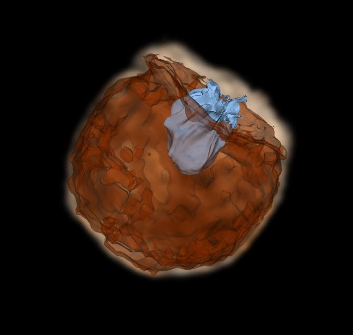 Rare Supernova Burst Shines Light on Its Mysterious Origins